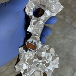 Mundrabilla Meteorite